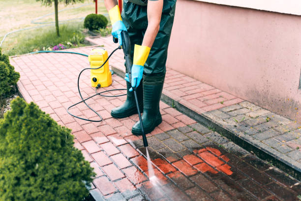 Best Roof Washing  in Rio Hondo, TX